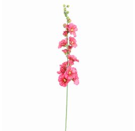 ALCHE ROSEA 115CM BEAUTY