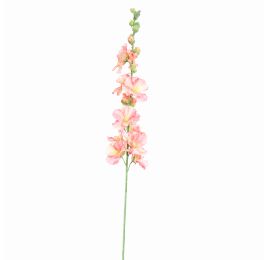 ALCHE ROSEA 115CM SALMON