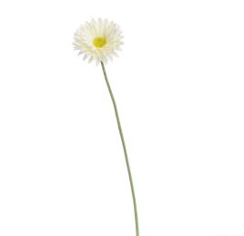 SINGLE SMALL GERBERA 55CM CREAM