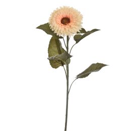 SUNFLOWER 58CM VANILLA