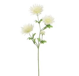 SPIDER GERBERA 65CM CREAM