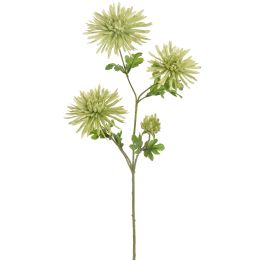 SPIDER GERBERA 65CM GREEN