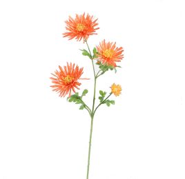 SPIDER GERBERA 65CM ORANGE