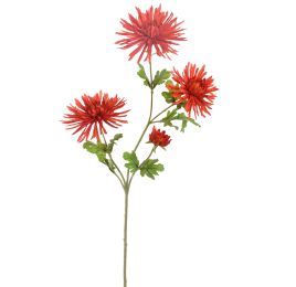 SPIDER GERBERA 65CM RED