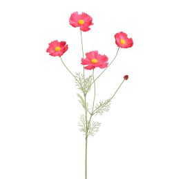 COSMOS 92CM BEAUTY