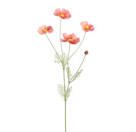COSMOS 92CM MAUVE