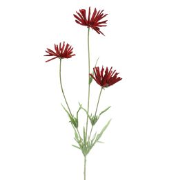 RUDBECKIA 66CM RED