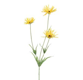 RUDBECKIA 66CM YELLOW