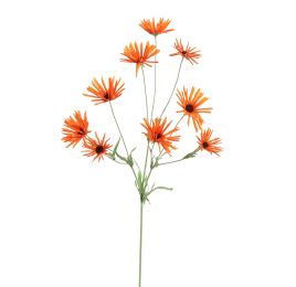 RUDBECKIA 95CM ORANGE