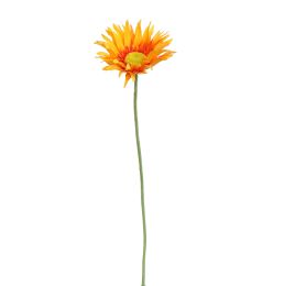 SPIDER GERBERA 65CM ORANGE
