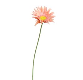 SPIDER GERBERA 65CM PEACH
