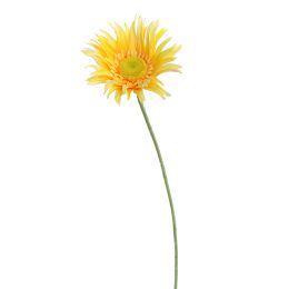 SPIDER GERBERA 65CM YELLOW