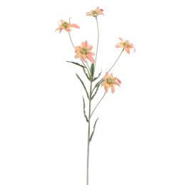 EDELWEISS 62CM PEACH