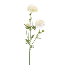 GERBERA SPRAY 66CM CREAM