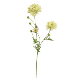 GERBERA SPRAY 66CM GREEN