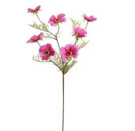 COSMOS SPRAY 75CM BEAUTY