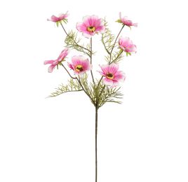 COSMOS SPRAY 75CM CREAM PINK