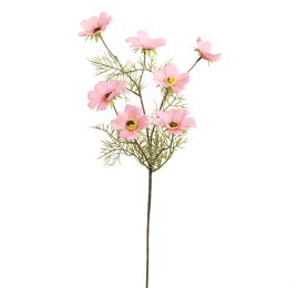 COSMOS SPRAY 75CM PINK