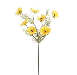 COSMOS SPRAY 75CM YELLOW