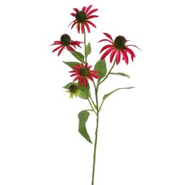 RUDBECKIA SPRAY 75CM BEAUTY