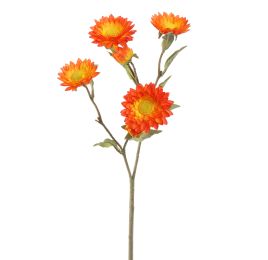 STRAW FLOWER 65CM ORANGE