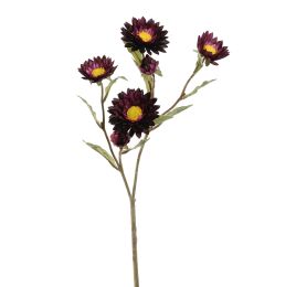 STRAW FLOWER 65CM PURPLE