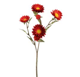 STRAW FLOWER 65CM RED