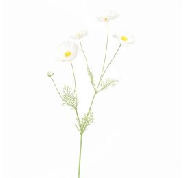 COSMOS SPRAY 92CM CREAM