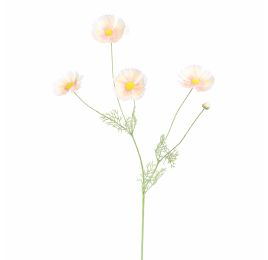 COSMOS SPRAY 92CM PEACH