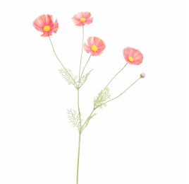 COSMOS SPRAY 92CM SALMON