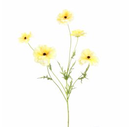 COSMOS SPRAY 70CM YELLOW