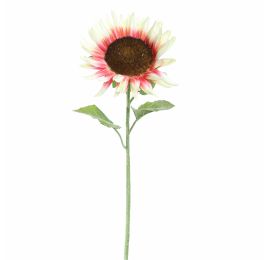 SINGLE SUNFLOWER 70CM CREAM PINK