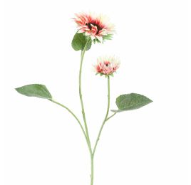 SUNFLOWER X2 95CM CREAM PINK