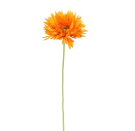 SPIDER GERBERA 45CM ORANGE