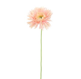 SPIDER GERBERA 45CM PINK