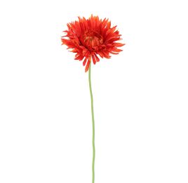 SPIDER GERBERA 45CM RED