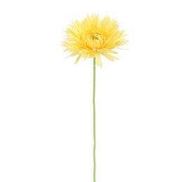 SPIDER GERBERA 45CM YELLOW