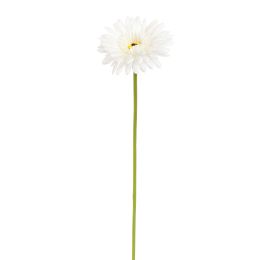 GERBERA 45CM CREAM