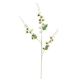 LONG COSMOS 105CM CREAM