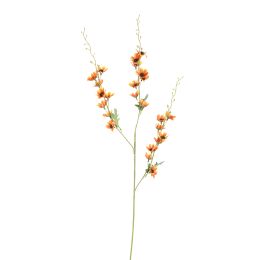 LONG COSMOS 105CM ORANGE
