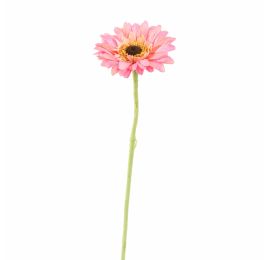 40170038-pi_0.jpg