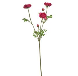 RANUNCULUS SPRAY X 3 66CM BEAUTY