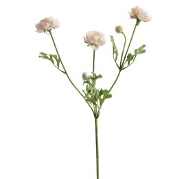 RANUNCULUS SPRAY X 3 66CM CREAM