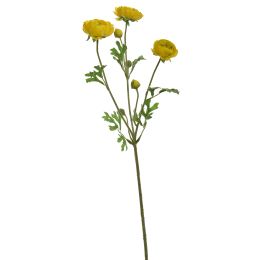 RANUNCULUS SPRAY X 3 66CM YELLOW
