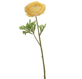 SINGLE RANUNCULUS 56CM YELLOW