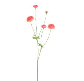 RANUNCULUS 90CM BEAUTY