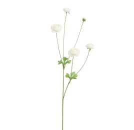 RANUNCULUS 90CM CREAM
