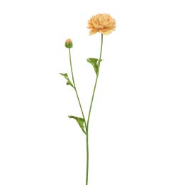 RANUNCULUS 62CM PEACH