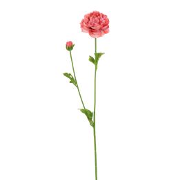 RANUNCULUS 62CM PINK