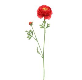 RANUNCULUS 65CM BEAUTY